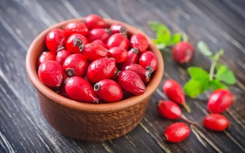 فواید عرق نسترن