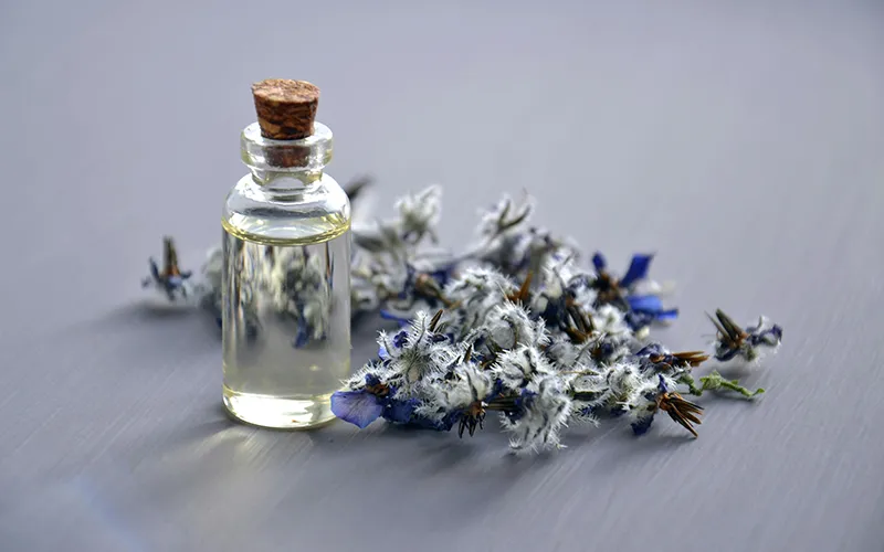 اسطوخودوس برای لاغری