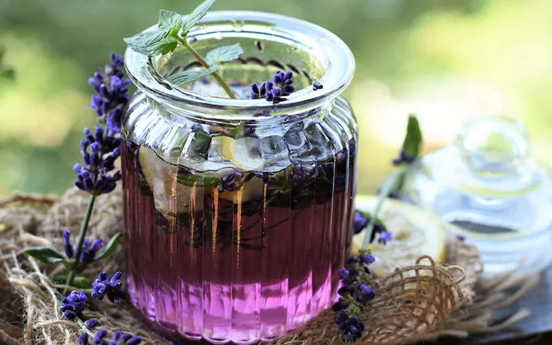 اسطوخودوس برای چی خوبه؟