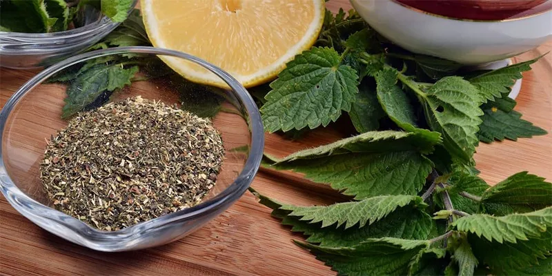 عرق گزنه برای چی خوبه؟