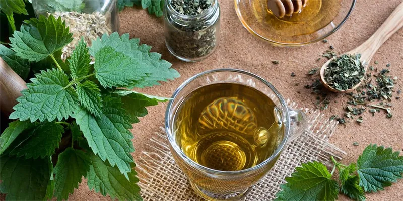مزایا مصرف عرق گزنه