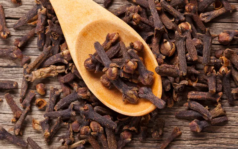 خواص میخک برای مردان