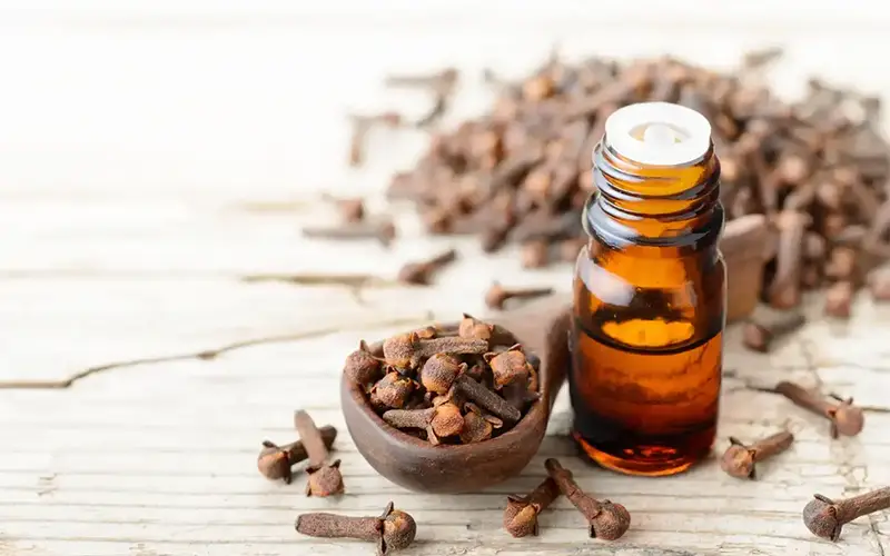 طریقه مصرف میخک و روغن میخک