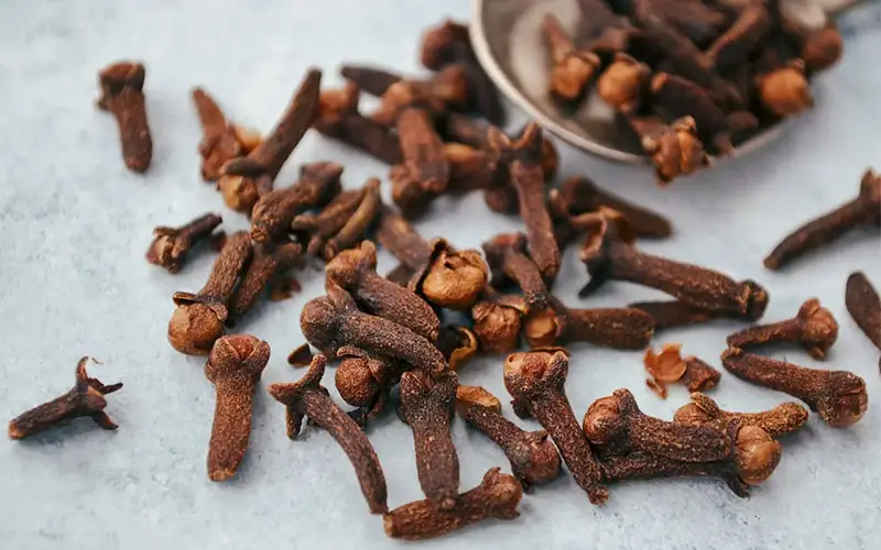 میخک چیست