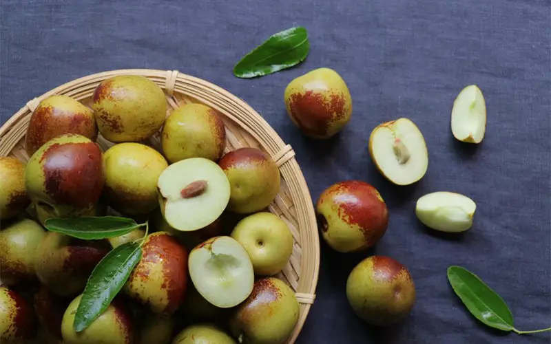 خواص عناب برای سرطان