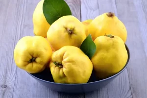 میوه به و خواص آن و طریقه مصرف